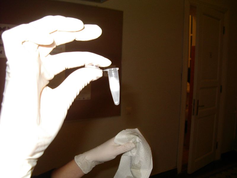 biotehno0910 013.jpg